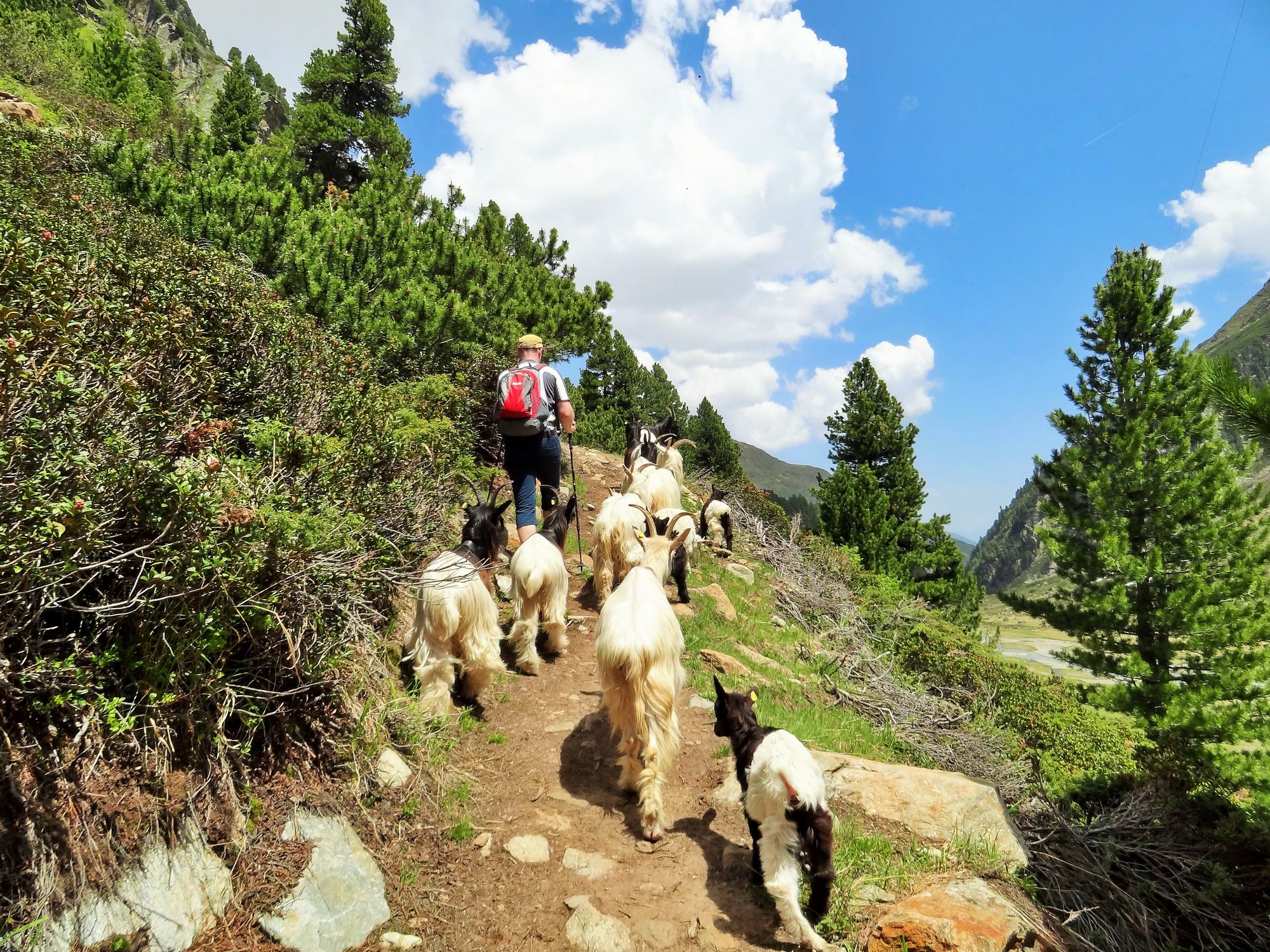 Weg zur Sulzenauhütte
