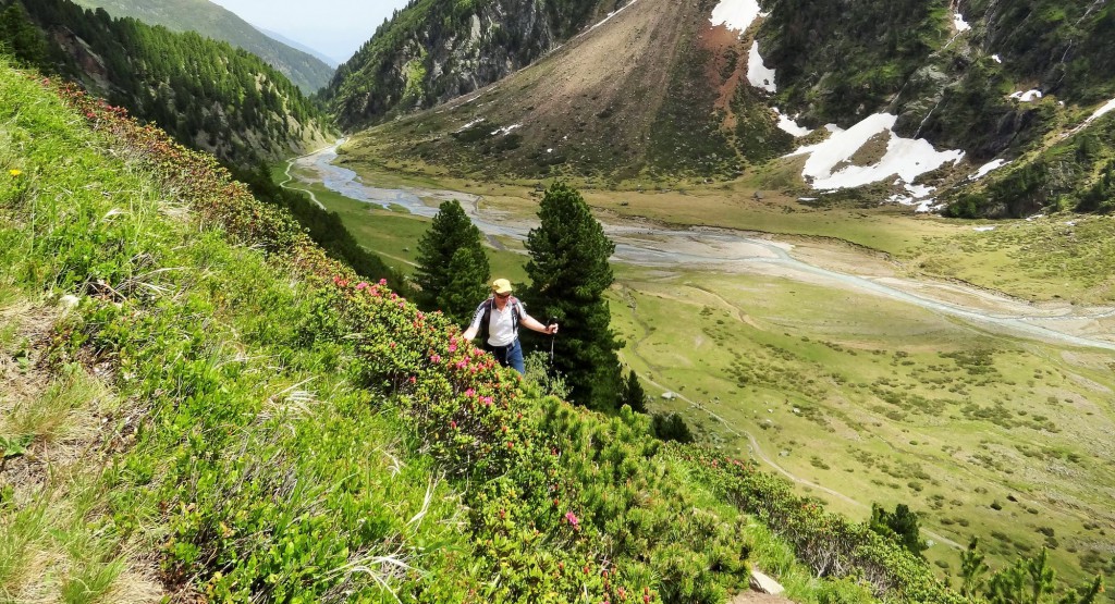 Auf dem Weg zur Sulzenauhütte