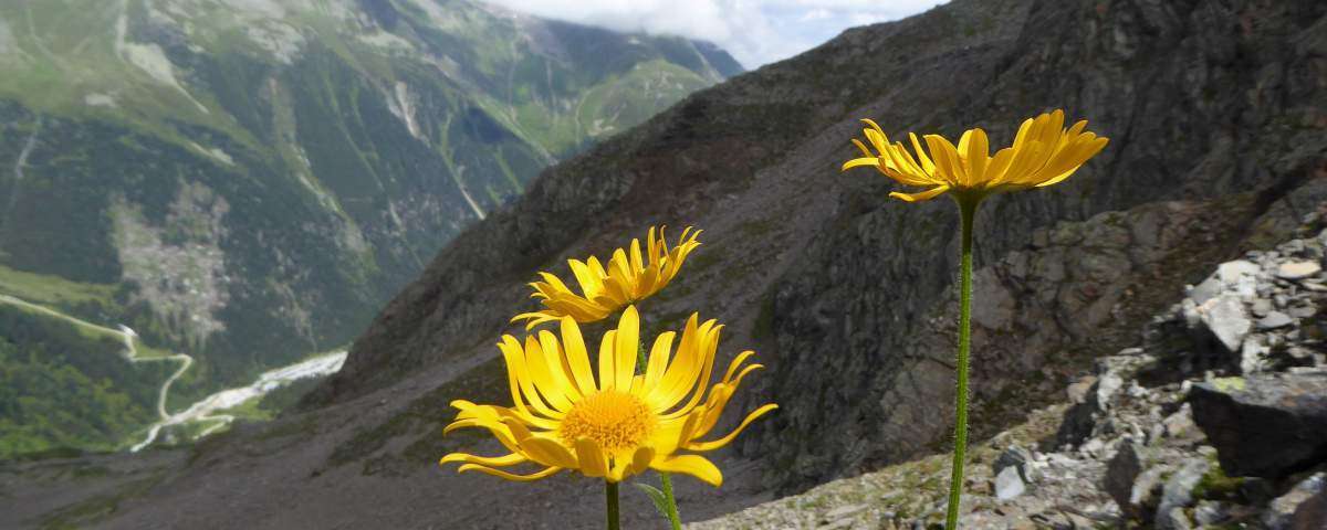 Stubaier Höhenweg übers Peiljoch