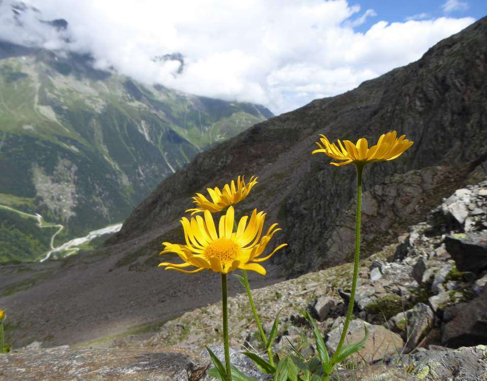 Stubaier Höhenweg übers Peiljoch